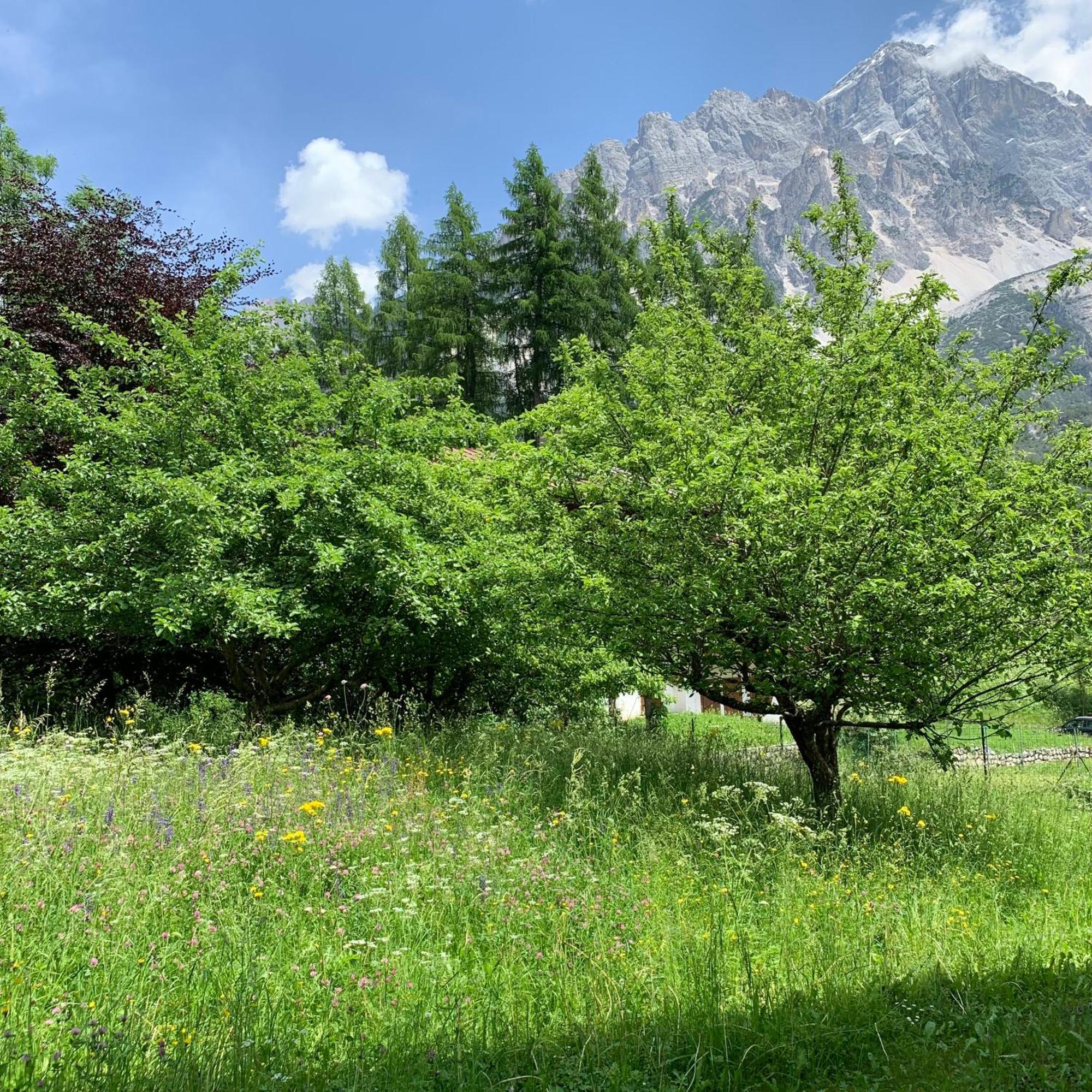 Apartamento Piccolo Gioiello Di Montagna Villanova  Exterior foto